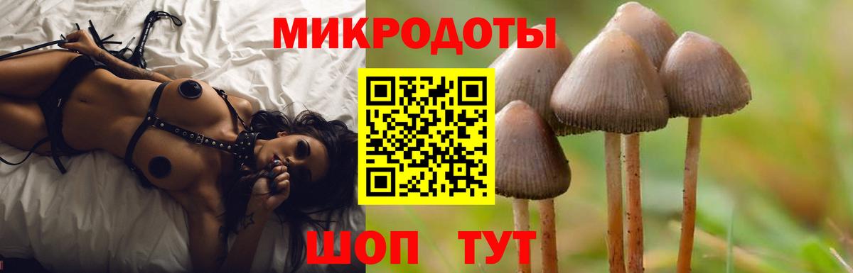 Галлюциногенные грибы прущие грибы Шатура